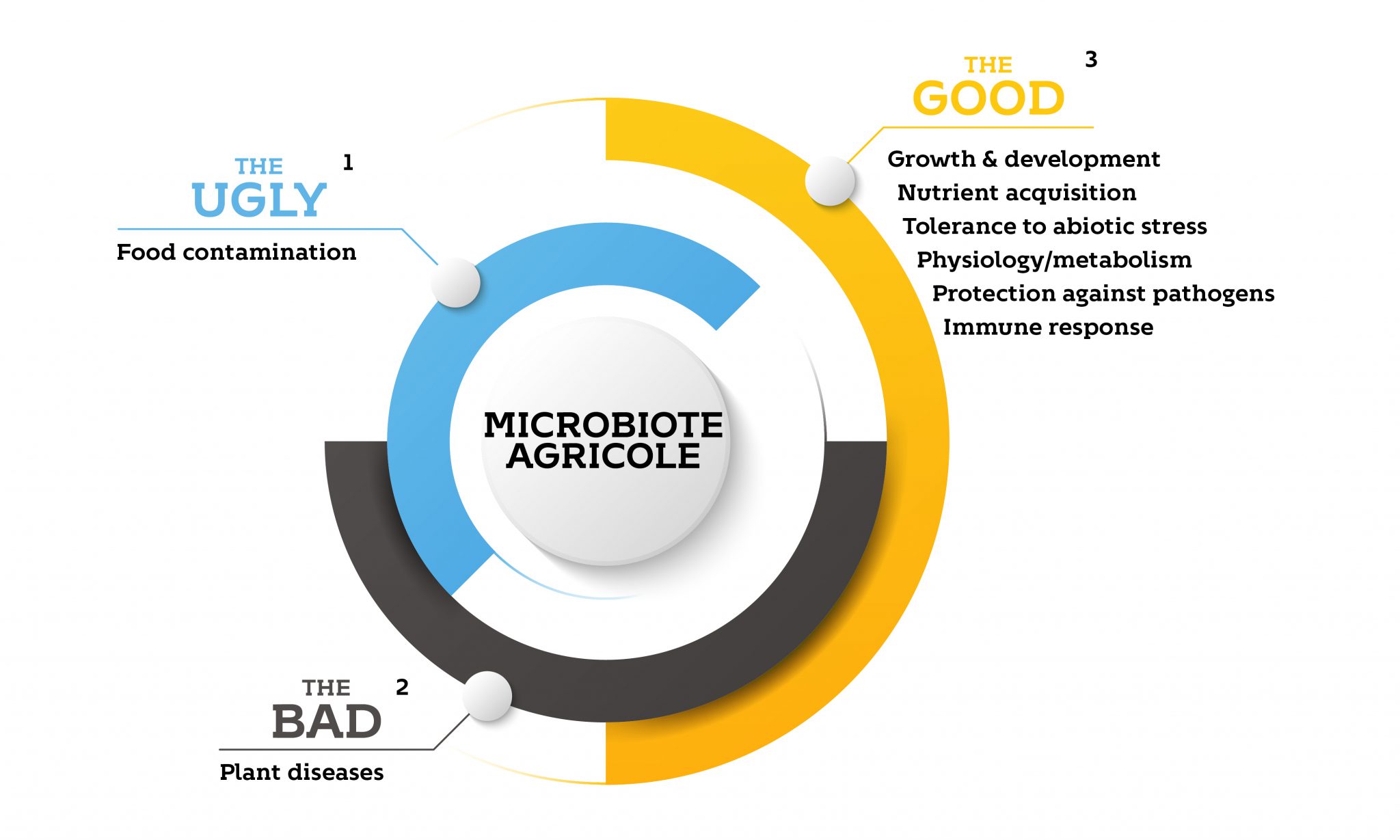 Le microbiote - Microbiote GreenCell